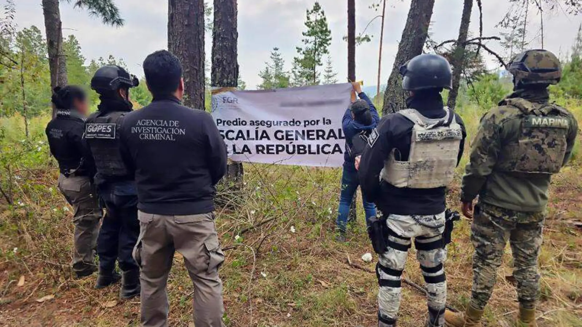 cateo bosque tlaxco